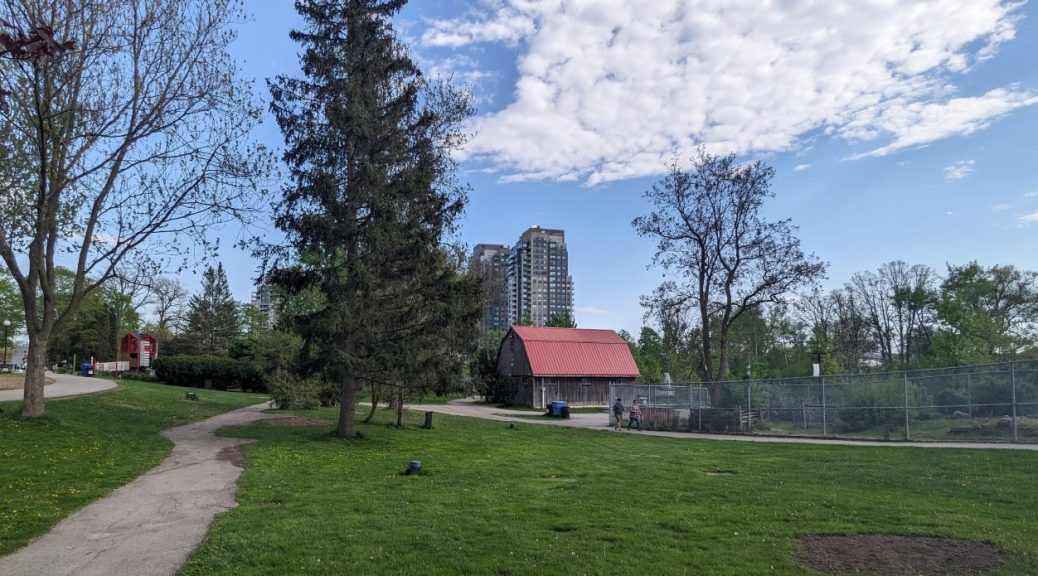 A picture of part of the "Eby Farmstead" in Waterloo Park. You can see a barn with a red roof in the middle of the picture and a chain linked fence animal enclosure. There is a large spruce tree in the middle of the shot. The foreground is green grass and the background is blue sky with a white cloud and a condo tower.