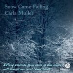 Snow Came Falling | Carla Muller | 50% of proceeds from sales of this single will benefit our local Food Bank | FoodBank of Waterloo Region (photo of ice and snow laden tree branches)