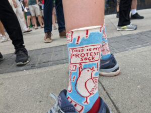 A close up shot of blue and red socks with a bird declaring "This is my Protest Sock"