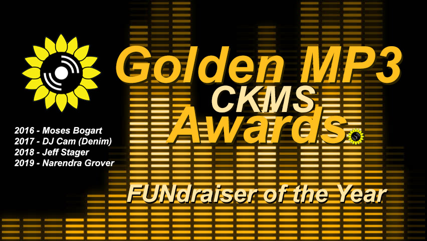 2020 Golden MP3 Awards: FUNdraiser of the Year