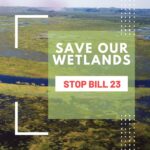 Save Our Wetlands | Stop Bill 23