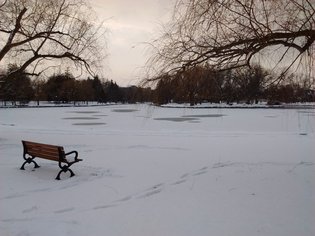 an empty bench faces the a downtown lake, the ground is covered with snow and although the lake has snow on it, large circles of warmer areas expose warmer areas in the lake. There is a lone park bench in the lower left corner.