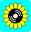(CKMS Sunflower logo on teal background with rounded corners)