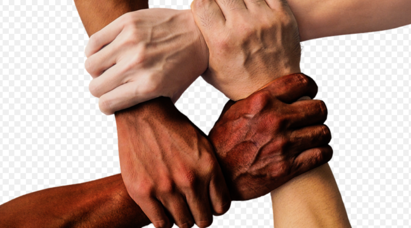 Four arms of different skin tones are reaching out towards each other from four sides of the image. Each hand is clasping the wrist of the next arm, creating a square of hands/wrists in the middle of the image.
